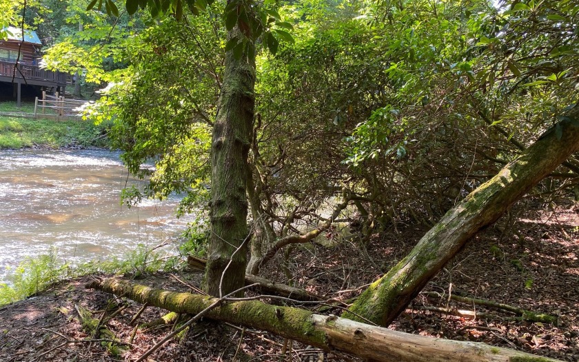 This river front lot is located in Buckhorn Estates, a wildlife - photo 19
