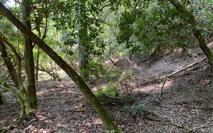 This river front lot is located in Buckhorn Estates, a wildlife - photo 20