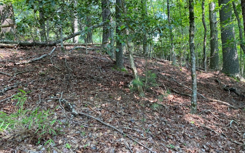 This river front lot is located in Buckhorn Estates, a wildlife - photo 30