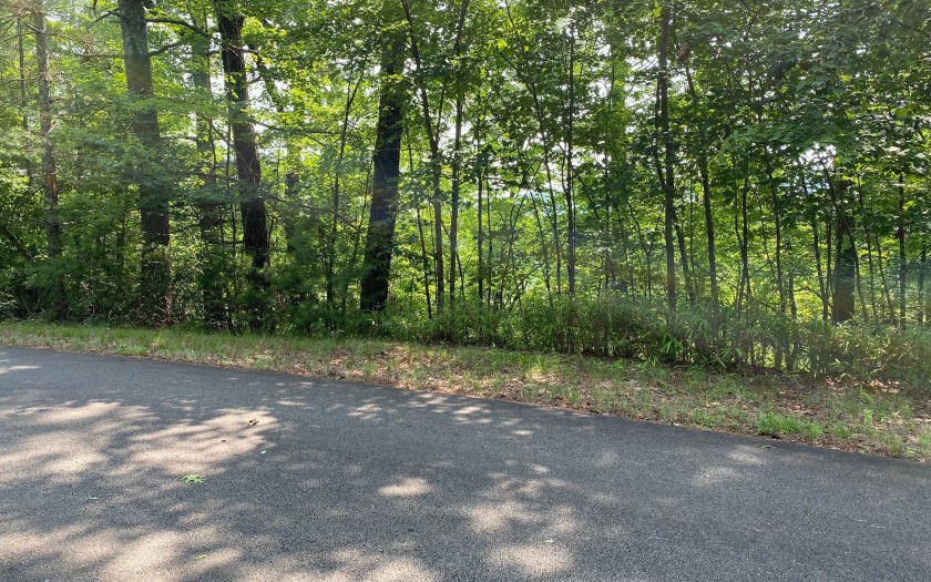 This river front lot is located in Buckhorn Estates, a wildlife - photo 31