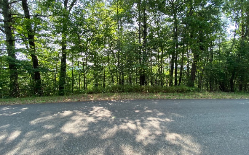 This river front lot is located in Buckhorn Estates, a wildlife - photo 34