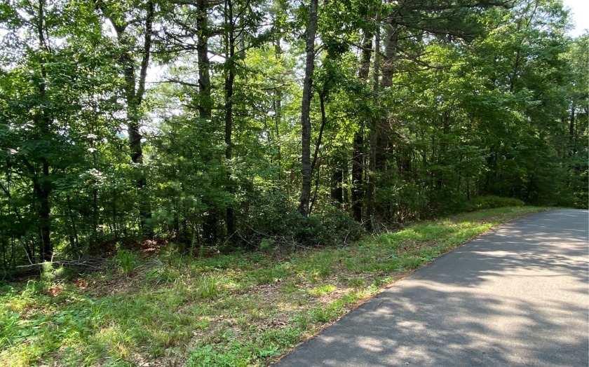 This river front lot is located in Buckhorn Estates, a wildlife - photo 36