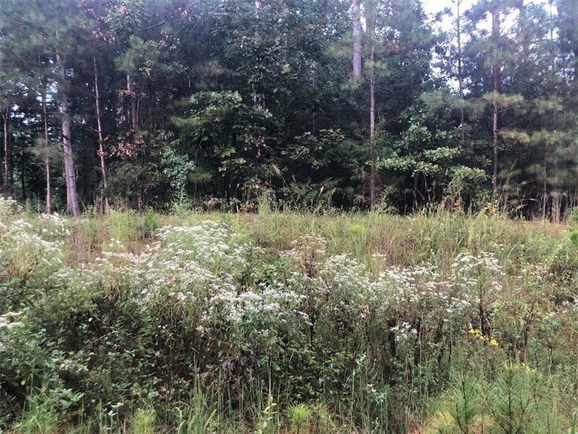 BEAUTIFUL HOME SITE ON LAKE RUSSELL, LOT BACKS UP TO CORP - photo 3