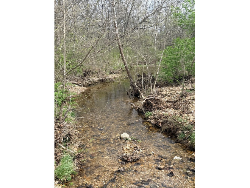 This is beautiful place here in Camden county Mo!! 41.64 acres - photo 3