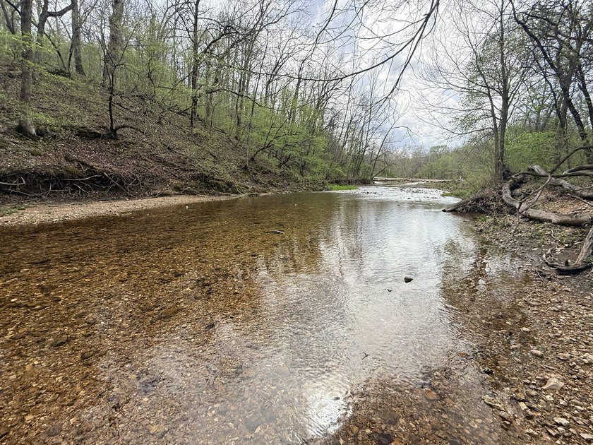 This is beautiful place here in Camden county Mo!! 41.64 acres - photo 5