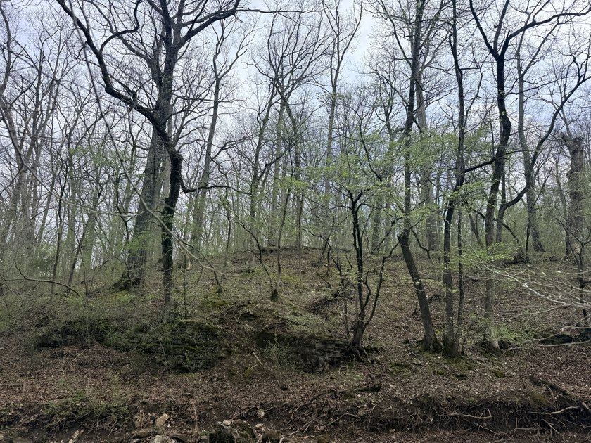 This is beautiful place here in Camden county Mo!! 41.64 acres - photo 6