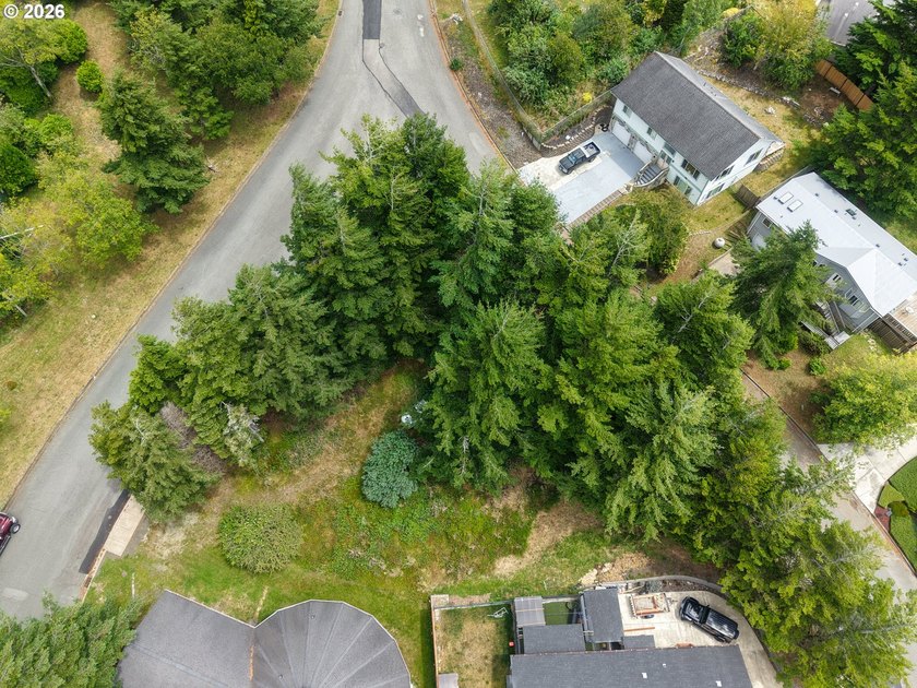 Ocean and bay view lot with utilities already in place! This - photo 4