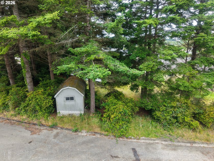 Ocean and bay view lot with utilities already in place! This - photo 8