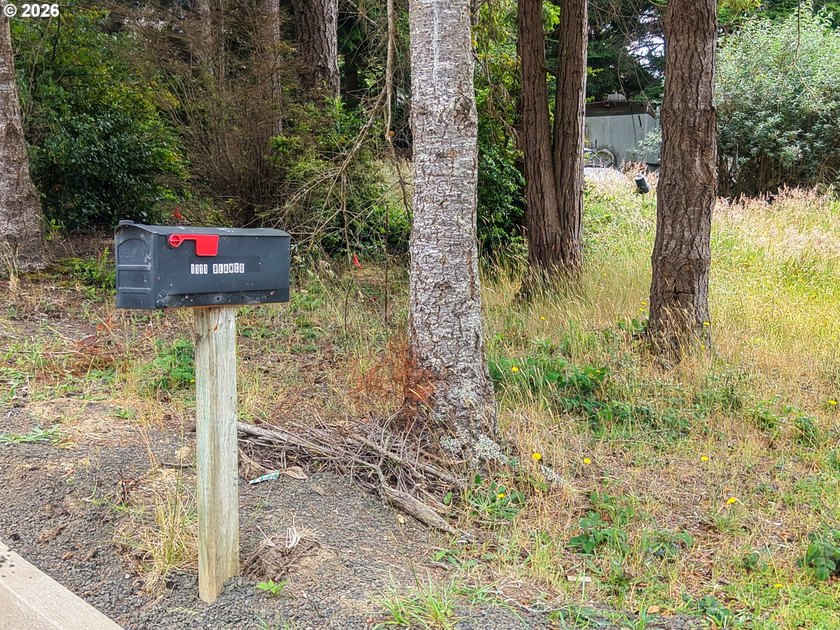Ocean and bay view lot with utilities already in place! This - photo 9
