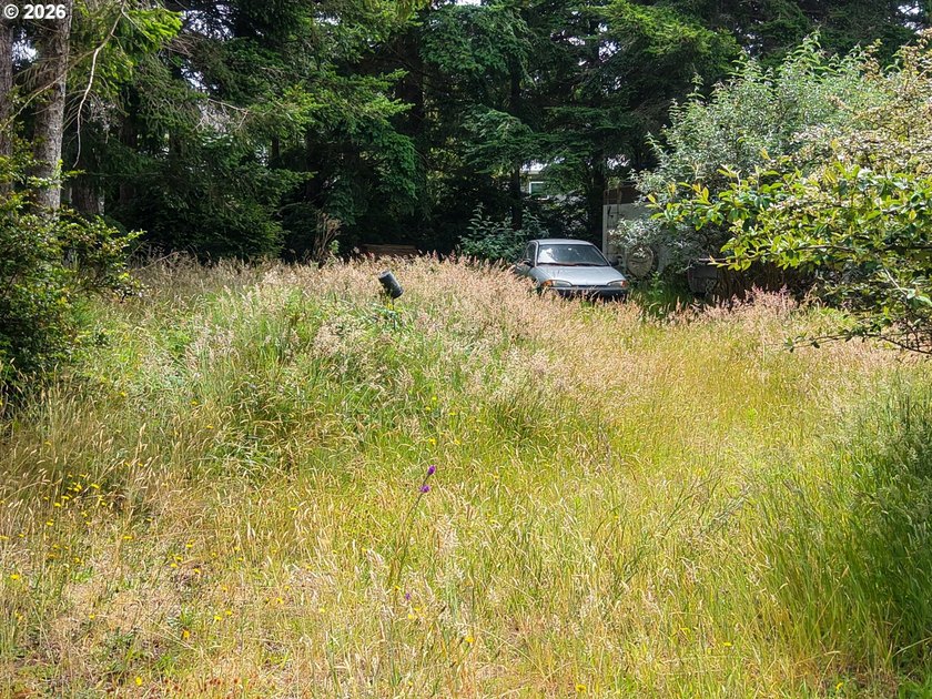 Ocean and bay view lot with utilities already in place! This - photo 10