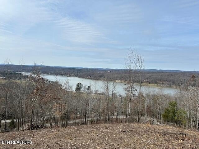 (1.) Listing=''2''Actual Addresses ****James Ferry - photo 6