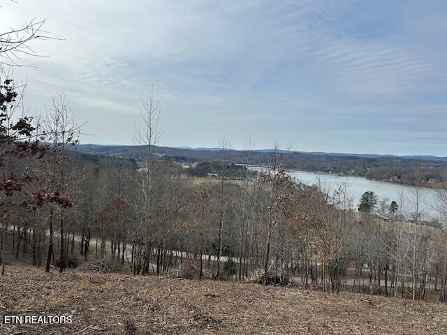 (1.) Listing=''2''Actual Addresses ****James Ferry - photo 7