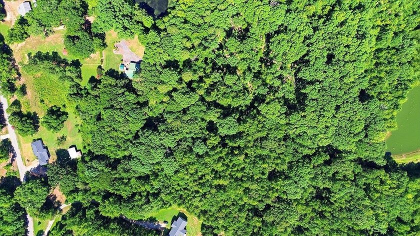 Unlock the Potential: 10.75+/- Unrestricted Acres in Woodruff - photo 11