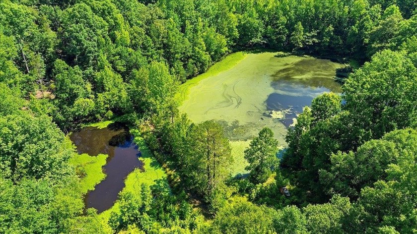 Unlock the Potential: 10.75+/- Unrestricted Acres in Woodruff - photo 12