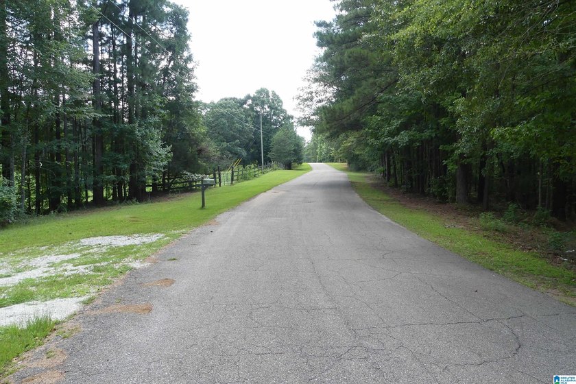 HERE IS A GEAT DEAL ON 2.93 ACRES OF WATER FRONT PROPERTY WITH - photo 12