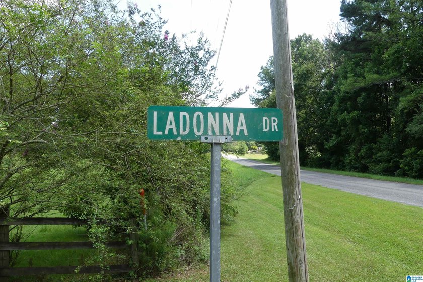 HERE IS A GEAT DEAL ON 2.93 ACRES OF WATER FRONT PROPERTY WITH - photo 13