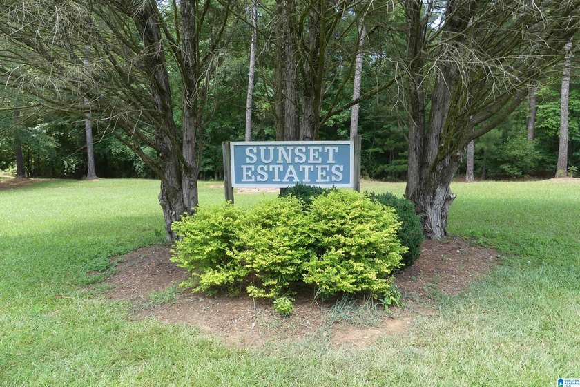 HERE IS A GEAT DEAL ON 2.93 ACRES OF WATER FRONT PROPERTY WITH - photo 14