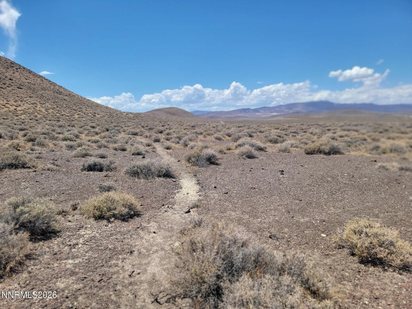 An opportunity to own a rare piece of Northern Nevada land - photo 22