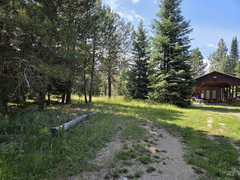 Remarkable property ready for you to camp, RV or build. 1.5 flat - photo 5