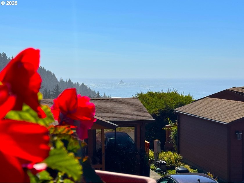 PRICE REDUCED $15,000! Large Ocean-View Home at Whaleshead Beach - photo 3