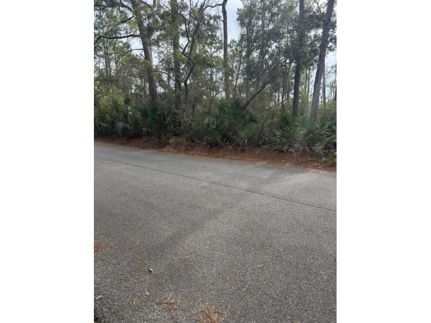 1 acre lot on marsh with potential views of the bay. Perfect - photo 2