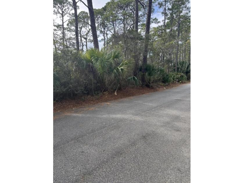 1 acre lot on marsh with potential views of the bay. Perfect - photo 3