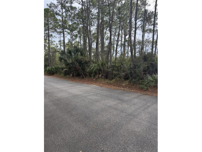 1 acre lot on marsh with potential views of the bay. Perfect - photo 4