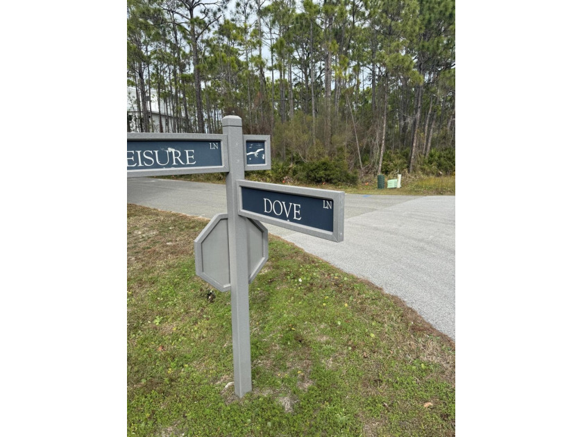 1 acre lot on marsh with potential views of the bay. Perfect - photo 5