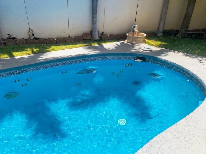 Premier North Kihei Multi-Unit Investment Opportunity. Located - photo 47
