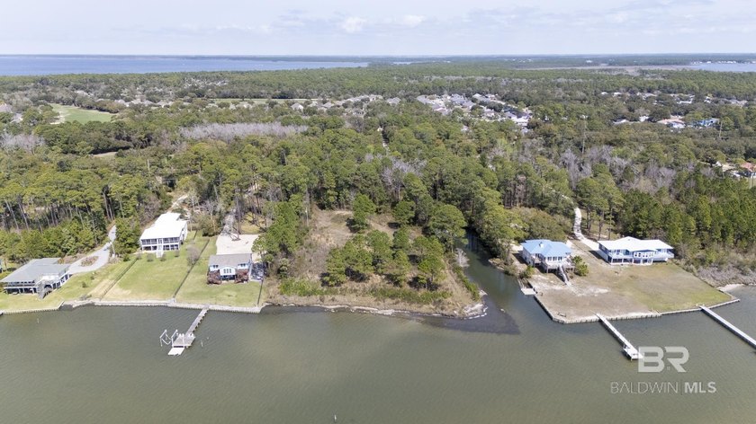 Approx. 300' Lagoon waterfront! This property is ideal! 2 lots - photo 3