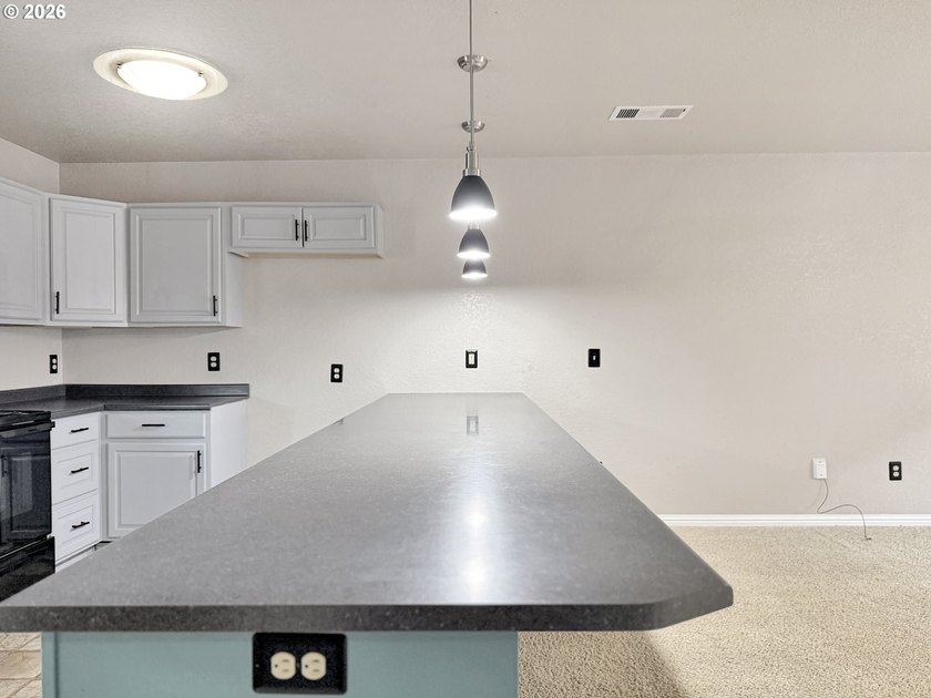 Well-maintained and turn-key, this 3 bedroom, 1.5 bathroom condo - photo 11