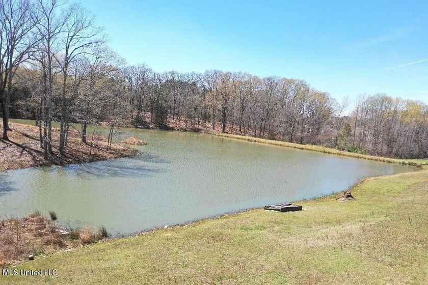 Boundary Lines are approximate in primary photo. All structures - photo 13