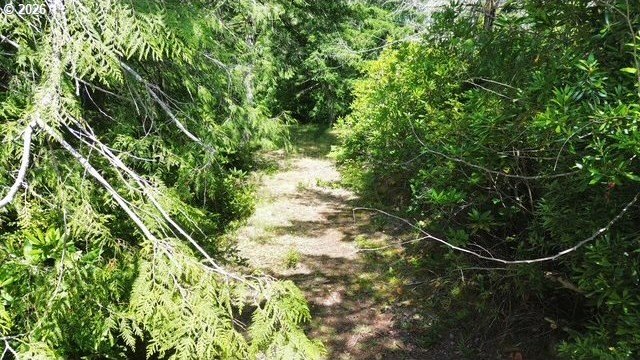 Build your dream home on this beautiful 2.34-acre lot in North - photo 11