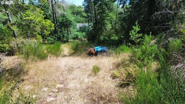 Build your dream home on this beautiful 2.34-acre lot in North - photo 12