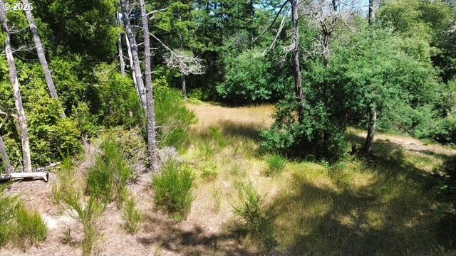 Build your dream home on this beautiful 2.34-acre lot in North - photo 13