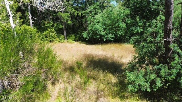 Build your dream home on this beautiful 2.34-acre lot in North - photo 14