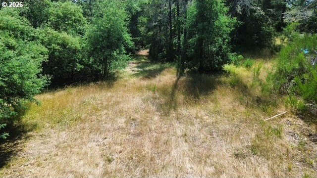 Build your dream home on this beautiful 2.34-acre lot in North - photo 18