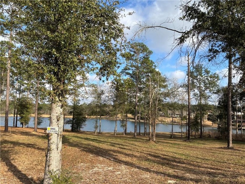 ***LAKE LOT*** APPROXIMATELY 1.4 ACRE LOT ON HEADWATERS LAKE IN - photo 11