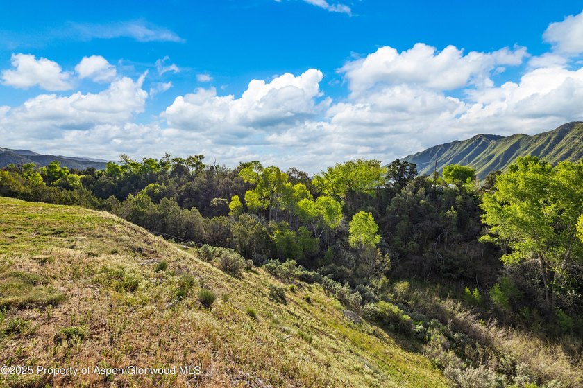 Build Your Dream Home in Lakota Ranch! Located at the end of a - photo 7