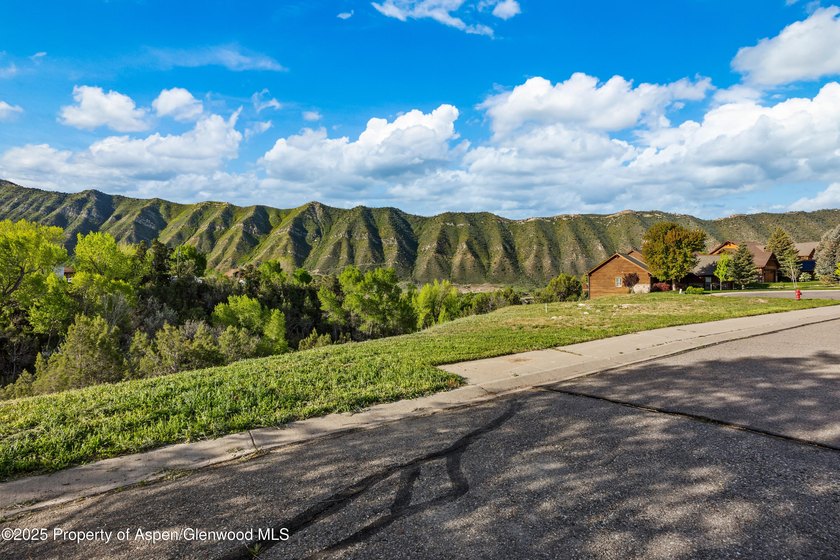 Build Your Dream Home in Lakota Ranch! Located at the end of a - photo 8