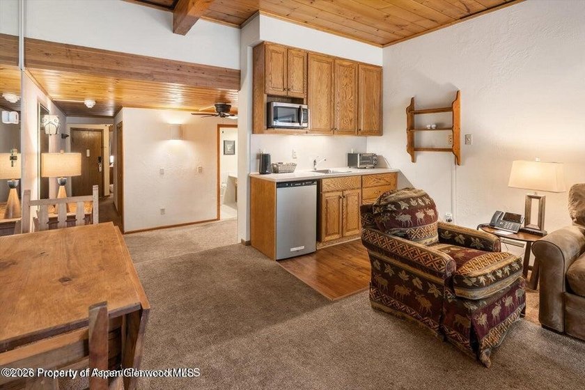 Own in the Heart of Aspen -- Without the Full-Time Commitment - photo 7