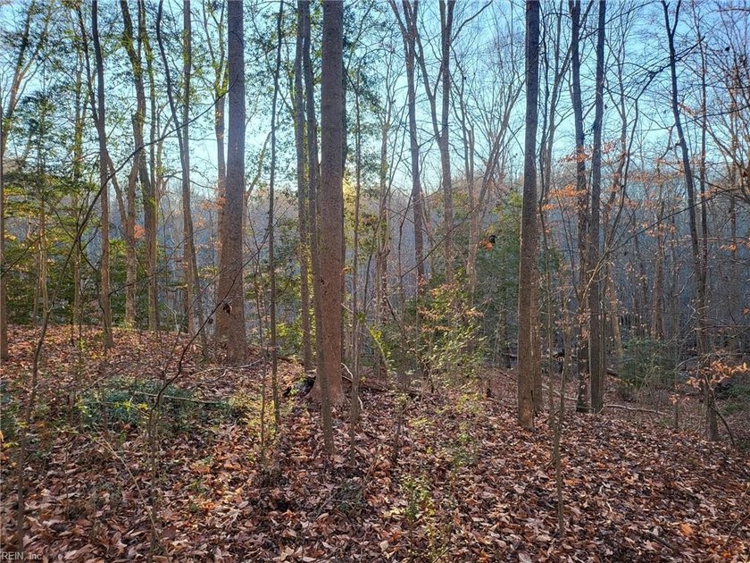 Outstanding buy on this 1.71 +/- acre single family building lot - photo 4