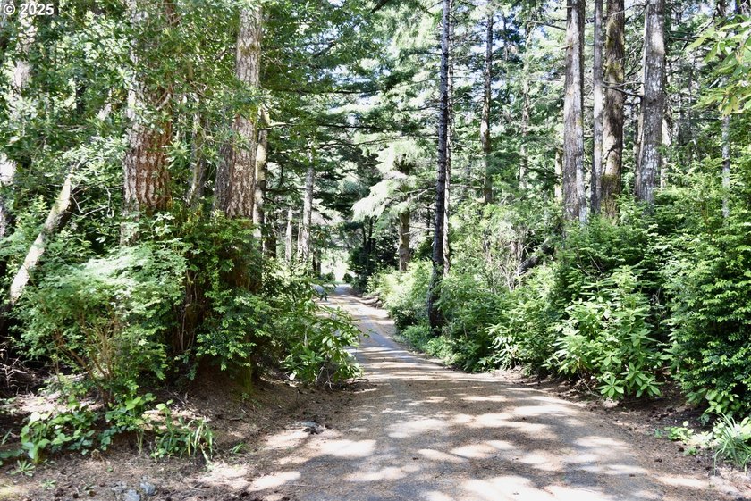 Private Country Retreat in Port Orford! Welcome to 42065 Vista - photo 2