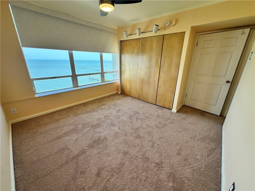 Check out this Million Dollar View in this roomy 1 bedroom, 1 - photo 13