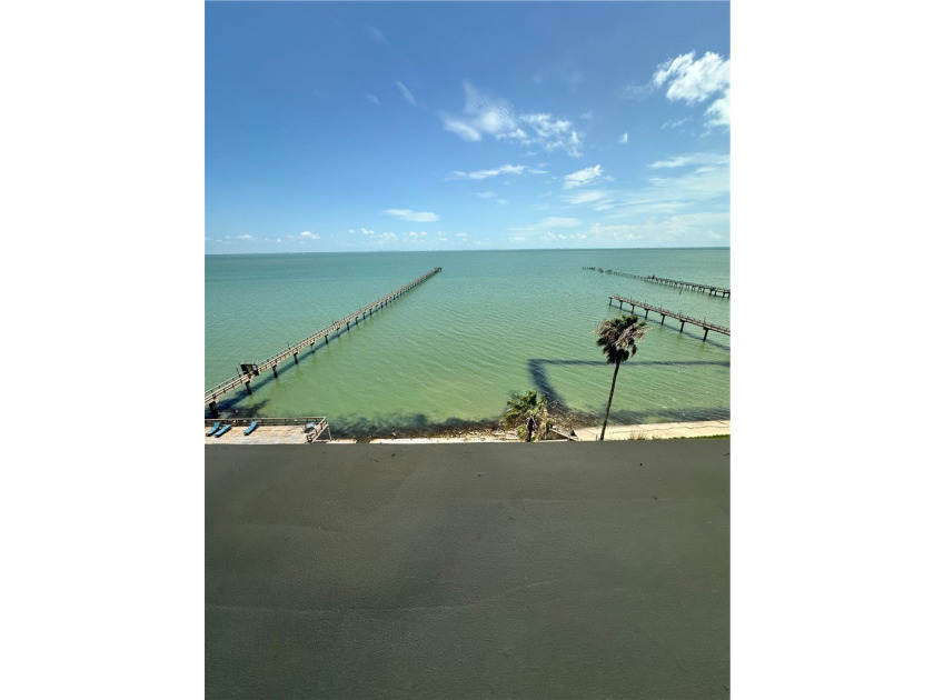 Check out this Million Dollar View in this roomy 1 bedroom, 1 - photo 23