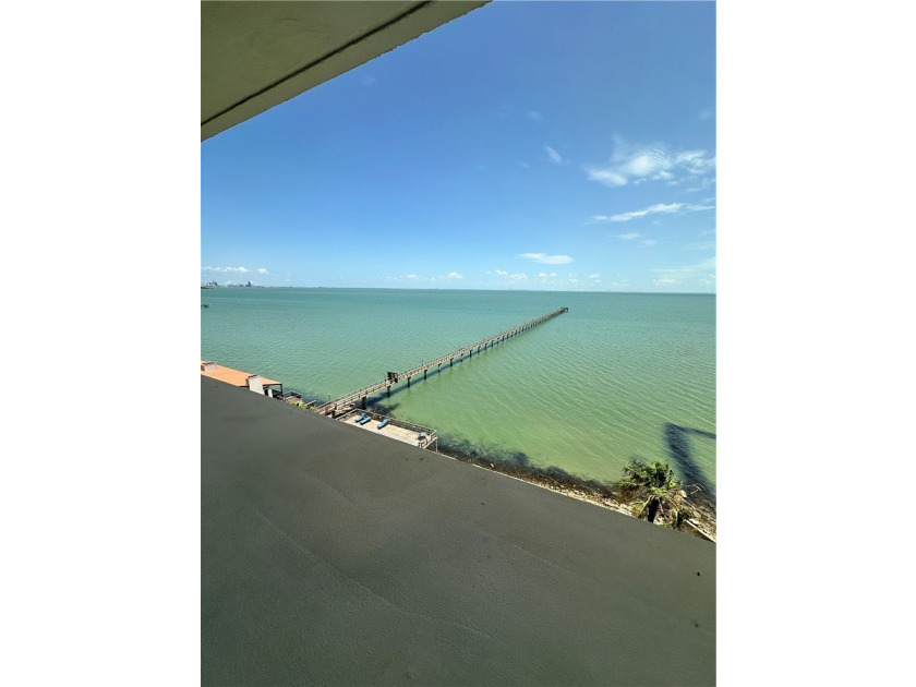 Check out this Million Dollar View in this roomy 1 bedroom, 1 - photo 24