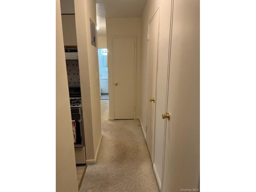 A Lovely ,sunny.well maintained 1 bedroom ,1 bathroom ,galley - photo 7