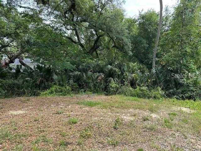 Almost 2 acres with no HOA (HOA is voluntary).Build the home of - photo 6