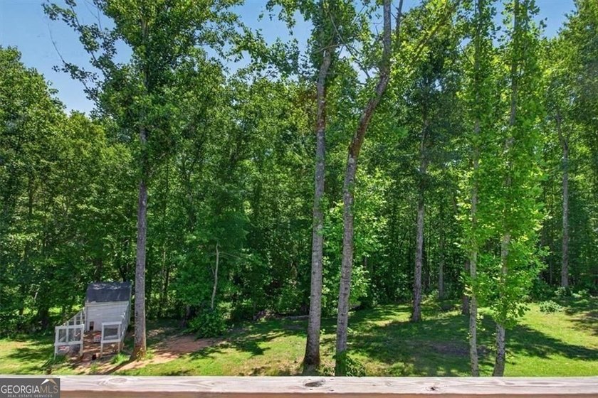 Imagine waking up to peaceful North Georgia views, enjoying - photo 43