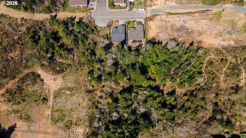 Take advantage of this rare opportunity to own a 0.09-acre - photo 3